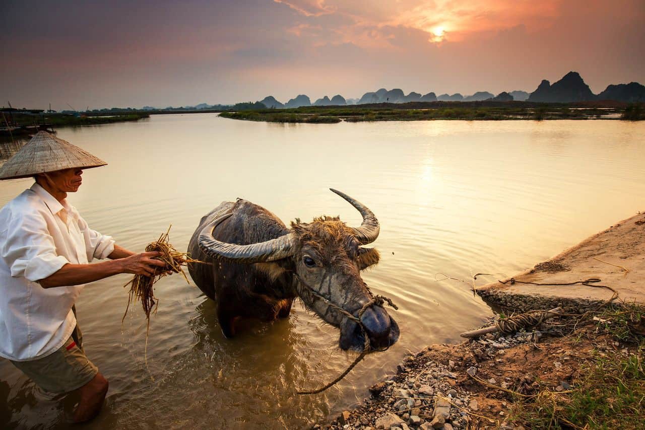 Photo: Vietnam Discovery Photo: Vietnam Discovery