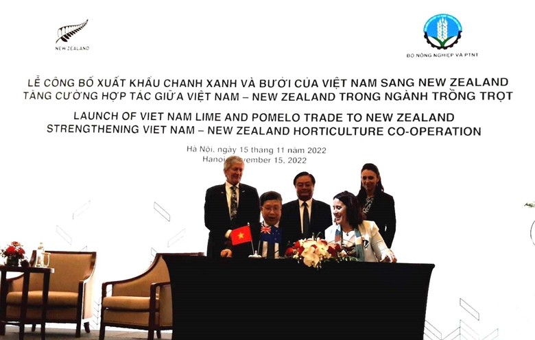 Chanh, bưởi của Việt Nam được phép xuất khẩu sang New Zealand Chanh, bưởi của Việt Nam được phép xuất khẩu sang New Zealand