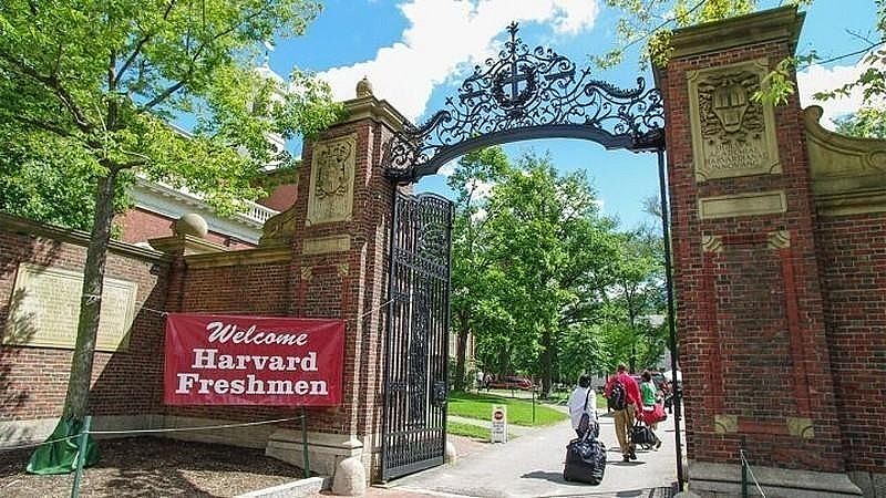Harvard University. Photo: Getty Images Harvard University. Photo: Getty Images