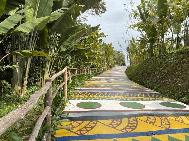 Photo: Papiu.vn Photo: Papiu.vn