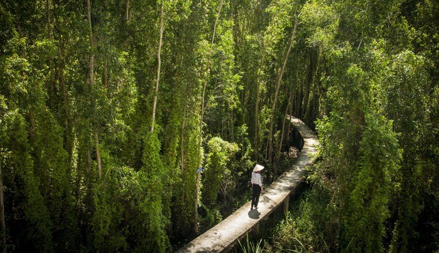 Photo: Toquoc.vn Photo: Toquoc.vn