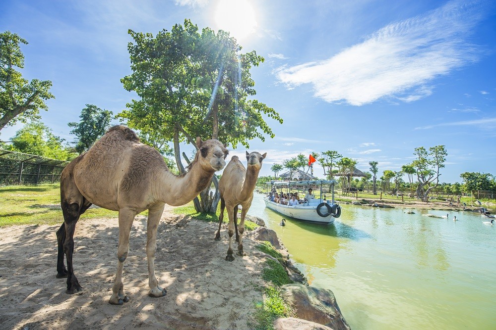 Vinpearl, VinWonders, Vinpearl Golf bùng nổ chuỗi sự kiện đẳng cấp thế giới chào đón mùa lễ hội lớn nhất trong năm Vinpearl, VinWonders, Vinpearl Golf bùng nổ chuỗi sự kiện đẳng cấp thế giới chào đón mùa lễ hội lớn nhất trong năm
