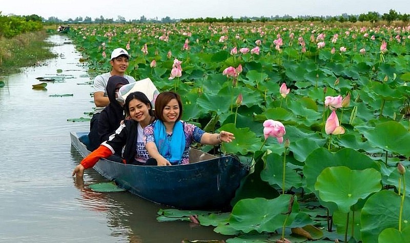 Dong Thap develops lotus-related tourism products. Photo: Nguyen Toan Dong Thap develops lotus-related tourism products. Photo: Nguyen Toan