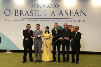 Brazil là đối tác lớn và quan trọng ở Nam Mỹ của Việt Nam