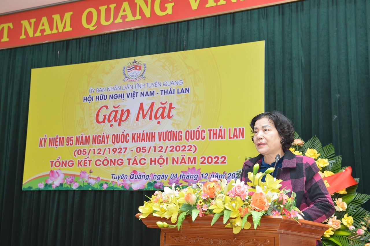 Bà Vũ Thị Bích Việt - Chủ tịch Liên hiệp phát biểu tại buổi gặp mặt