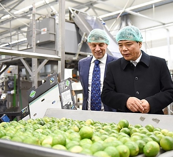 Chuyên gia hiến kế giúp trái cây Việt Nam phát triển bền vững Chuyên gia hiến kế giúp trái cây Việt Nam phát triển bền vững