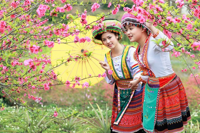 (Ảnh minh họa). (Ảnh minh họa).