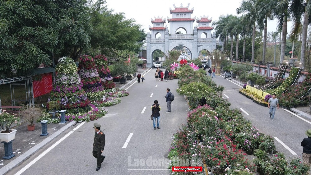 Vựa hoa lớn nhất phía Bắc sẵn sàng vào lễ hội
