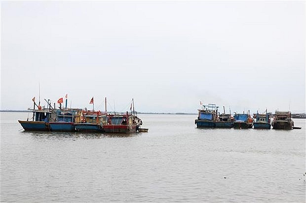Fishing vessels of Quang Tri province (Photo: VNA) Fishing vessels of Quang Tri province (Photo: VNA)