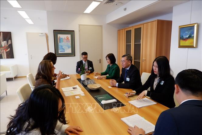 UNCTAD đánh giá cao khuôn khổ chính sách và thiết chế của Việt Nam UNCTAD đánh giá cao khuôn khổ chính sách và thiết chế của Việt Nam