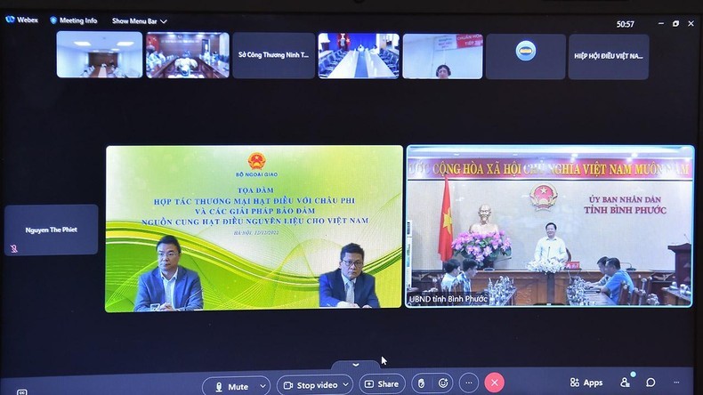 Bảo đảm nguồn cung hạt điều nguyên liệu từ châu Phi cho Việt Nam Bảo đảm nguồn cung hạt điều nguyên liệu từ châu Phi cho Việt Nam