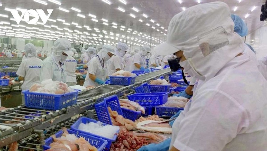 Seafood is one of Vietnam;s key hard currency earners as its products have brought in US$10 billion in export value this year. Seafood is one of Vietnam;s key hard currency earners as its products have brought in US$10 billion in export value this year.