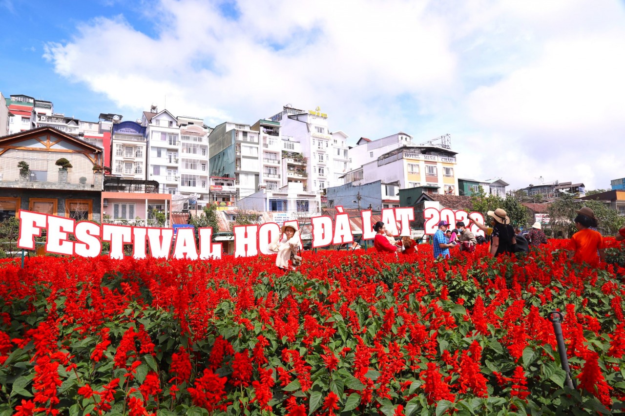Thời tiết đẹp ủng hộ cho Festival Hoa Đà Lạt 2022. Ảnh: Anh Thiệp. Thời tiết đẹp ủng hộ cho Festival Hoa Đà Lạt 2022. Ảnh: Anh Thiệp.