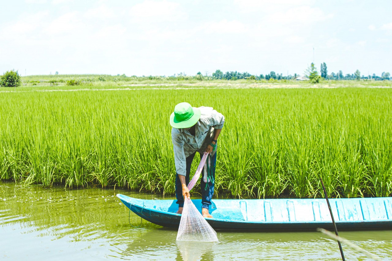 WWF Việt Nam khởi động dự án WWF Việt Nam khởi động dự án
