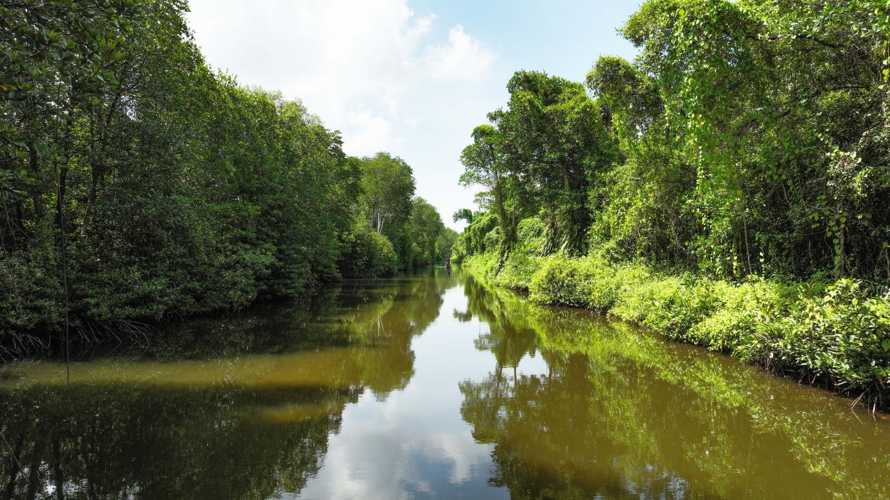WWF Việt Nam khởi động dự án WWF Việt Nam khởi động dự án