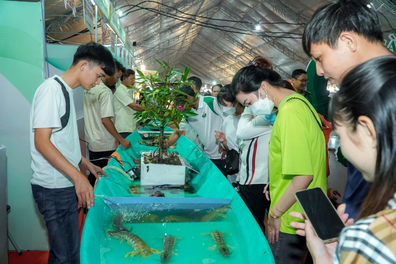 Cà Mau lần đầu tiên tổ chức Ngày hội Cua Cà Mau lần đầu tiên tổ chức Ngày hội Cua