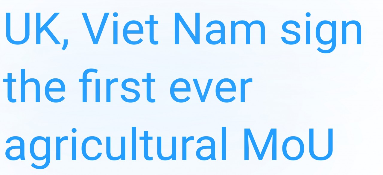 2022 - A Memorable Year for the UK - Vietnam Bilateral Relations 2022 - A Memorable Year for the UK - Vietnam Bilateral Relations