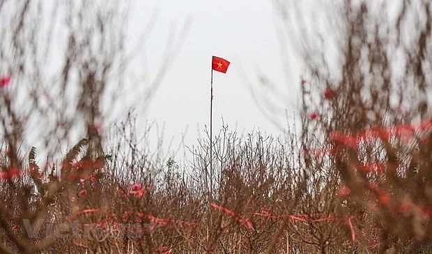 Cold weather to blanket northern Vietnam in Lunar New Year holidays. Photo: VNA Cold weather to blanket northern Vietnam in Lunar New Year holidays. Photo: VNA