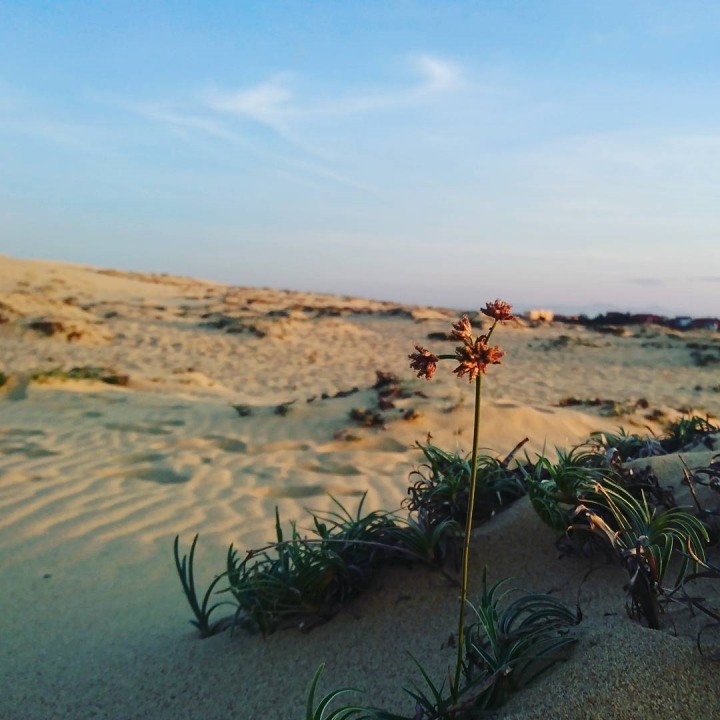 Photo: chinh272 Photo: chinh272