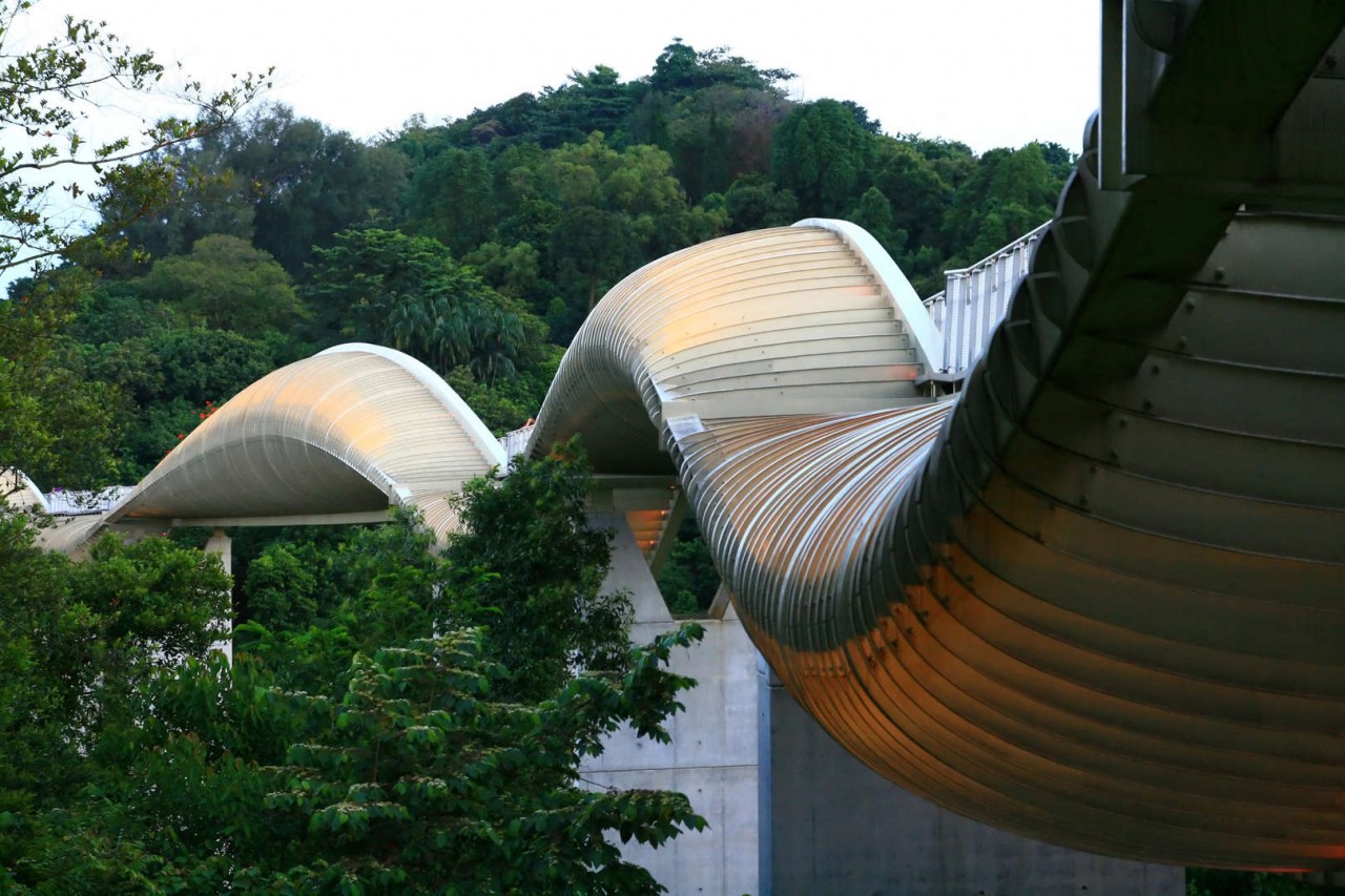 Cầu Henderson Waves (Ảnh: Getty Images/Vichie81). Cầu Henderson Waves (Ảnh: Getty Images/Vichie81).