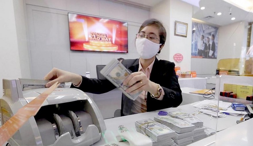 Vietnam's foreign reserves may reach US$102 billion this year. Photo: Hai Linh Vietnam's foreign reserves may reach US$102 billion this year. Photo: Hai Linh