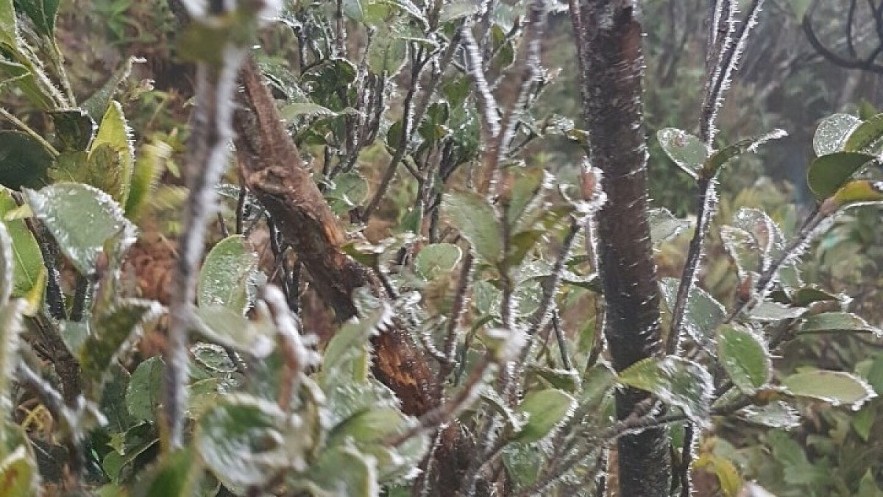 The temperature at Mau Son mountain peak in the northern mountainous province of Lang Son drops to 0 on January 16 morning. The temperature at Mau Son mountain peak in the northern mountainous province of Lang Son drops to 0 on January 16 morning.