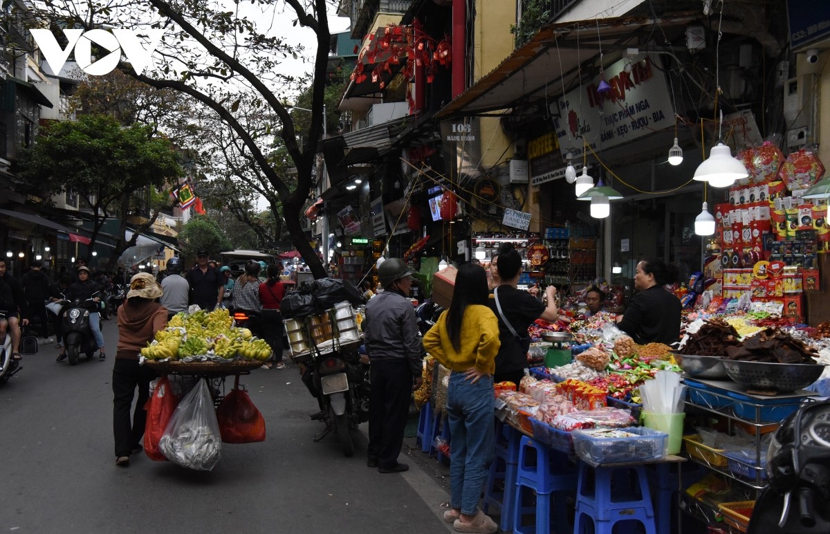 Đường phố Thủ đô tươi sắc hồng, rộn ràng không khí Tết cổ truyền Đường phố Thủ đô tươi sắc hồng, rộn ràng không khí Tết cổ truyền