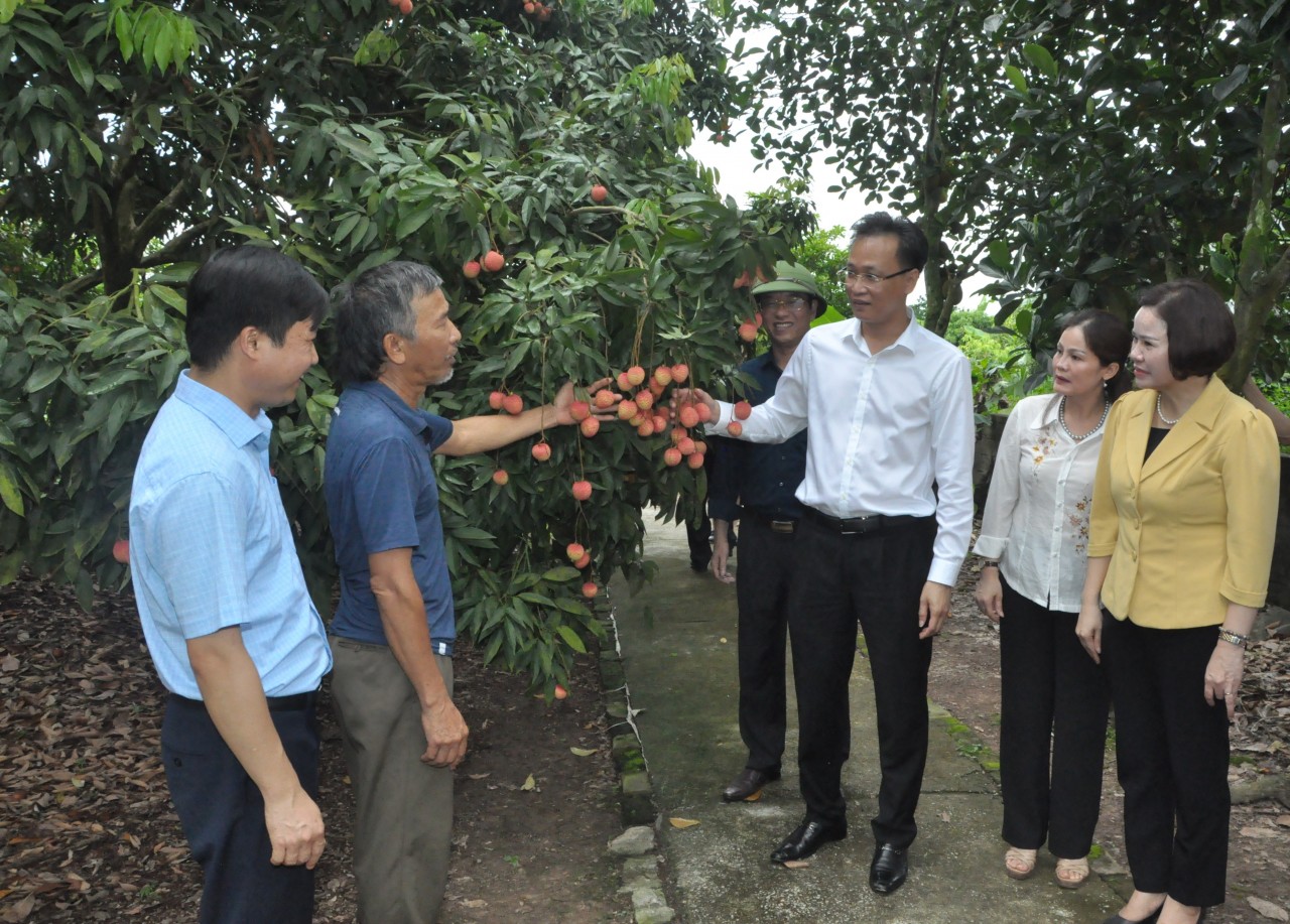 Bí thư Tỉnh ủy Nguyễn Hữu Nghĩa: Hưng Yên sẽ tận dụng lợi thế và cơ hội phát triển vùng Bí thư Tỉnh ủy Nguyễn Hữu Nghĩa: Hưng Yên sẽ tận dụng lợi thế và cơ hội phát triển vùng