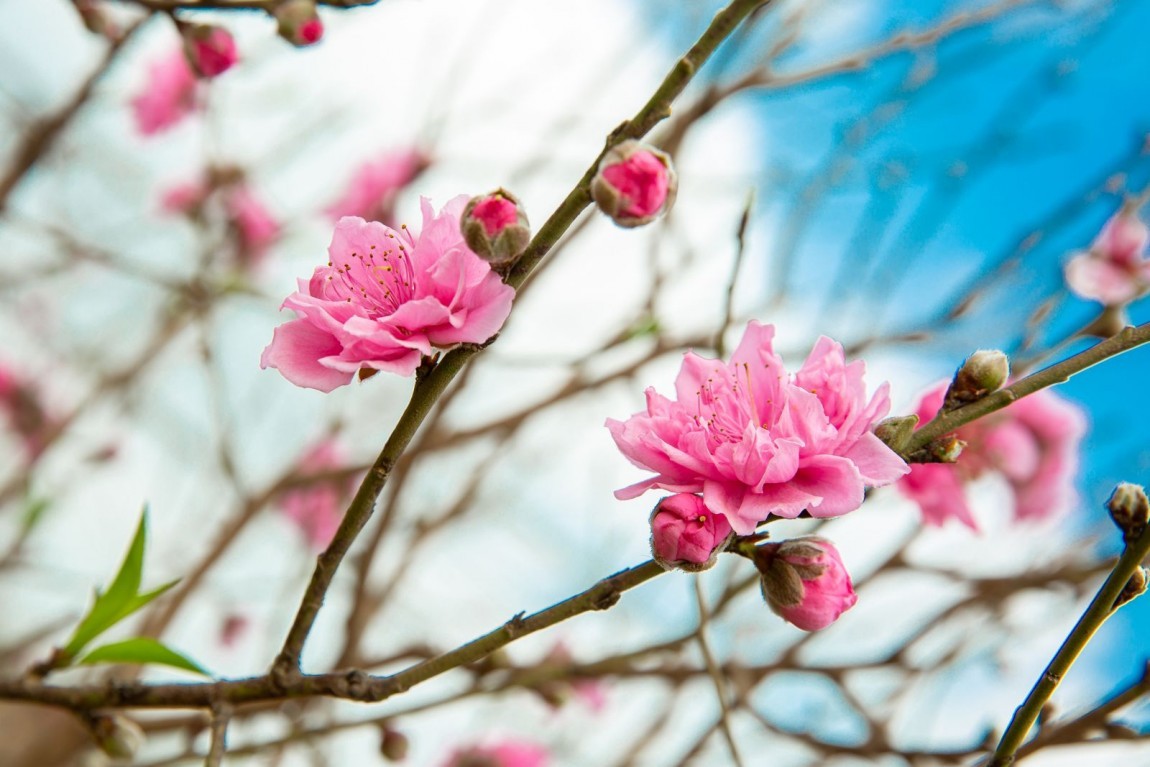 Một chữ dâng đời Một chữ dâng đời