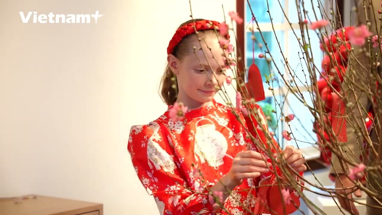 Đại sứ Na Uy "đưa" truyền thống của đất nước mình lên cây đào Tết Việt | Văn hóa | Vietnam+ (VietnamPlus)