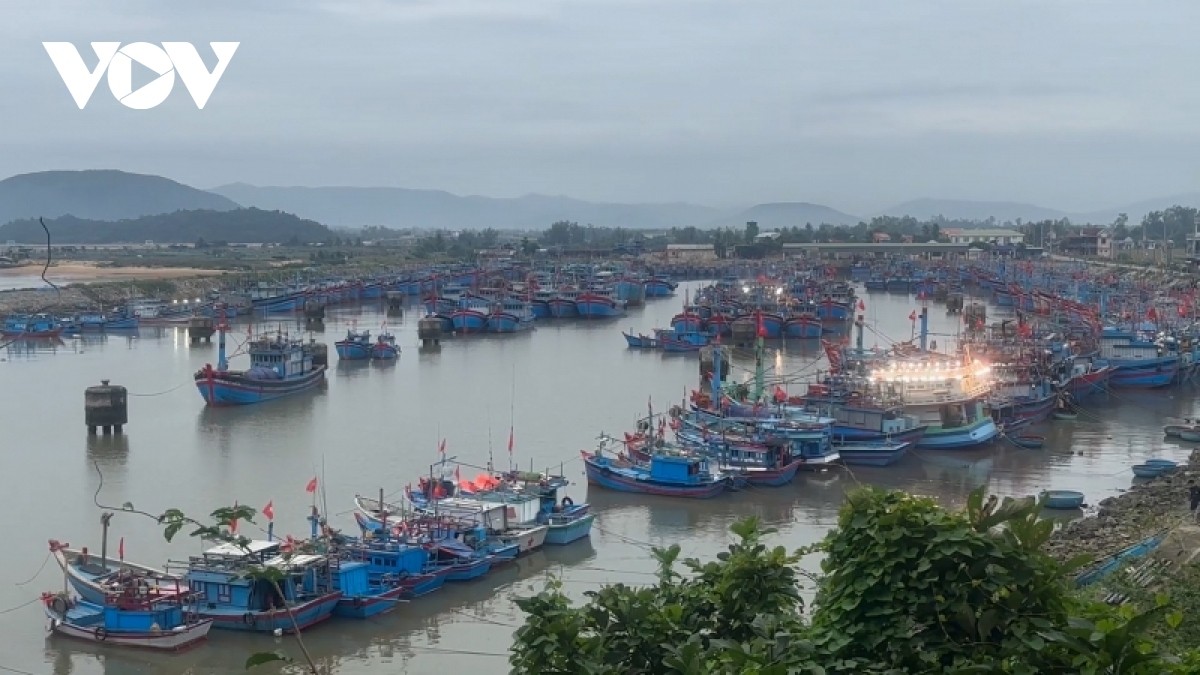 Ngư dân Quảng Ngãi mở biển đầu năm mới Ngư dân Quảng Ngãi mở biển đầu năm mới