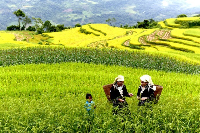 Photo: Toquoc.vn Photo: Toquoc.vn