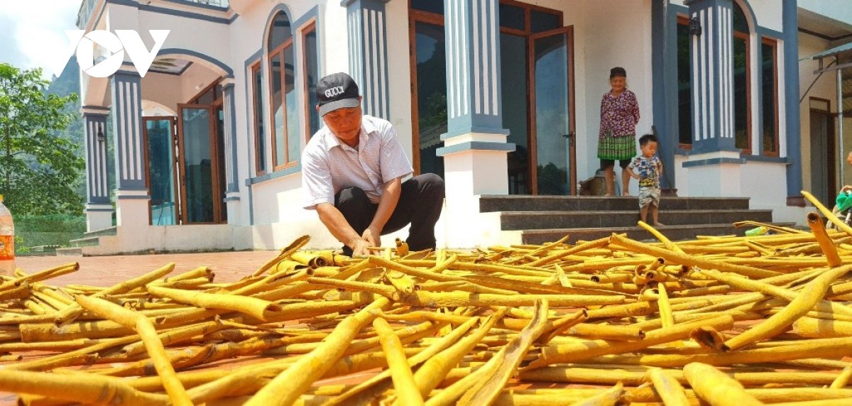 Yên Bái gần nửa nhiệm kỳ nâng cao chỉ số hạnh phúc người dân Yên Bái gần nửa nhiệm kỳ nâng cao chỉ số hạnh phúc người dân