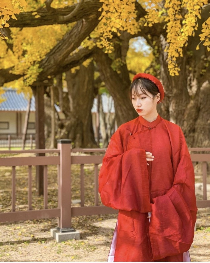 Vietnamese Girl Promotes Traditional Clothes in Korea Vietnamese Girl Promotes Traditional Clothes in South Korea