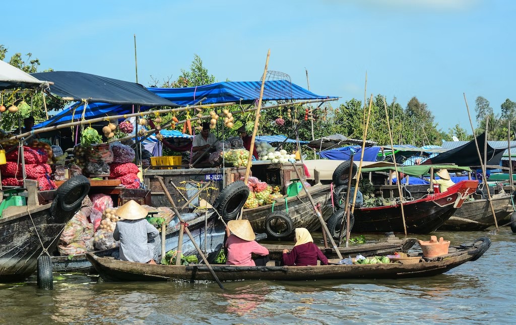 7 best road trips in Vietnam attract international tourists