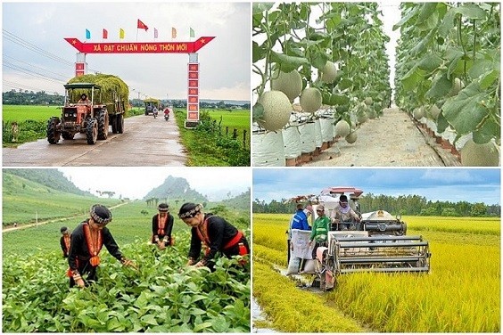 Quảng Ngãi bố trí hơn 407 tỷ đồng cho Chương trình MTQG giảm nghèo bền vững trong năm 2023
