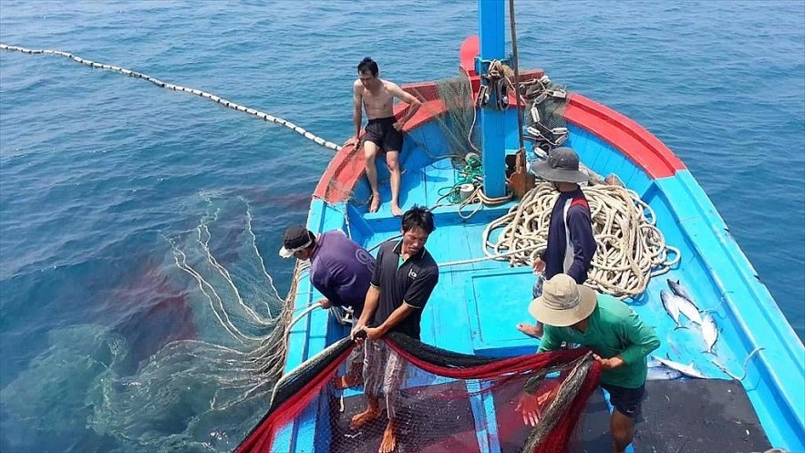EC Acknowledges Vietnam’s Efforts in IUU Combat: Ministry EC Acknowledges Vietnam’s Efforts in IUU Combat: Ministry