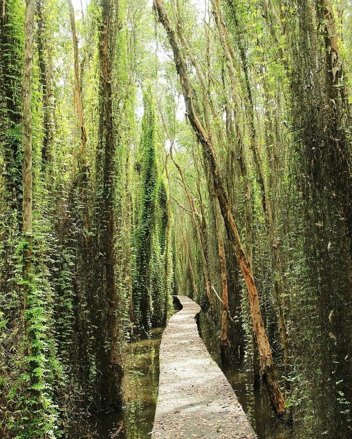 Most 'Touch Your Heart' Roads in Vietnam Most 'Touch Your Heart' Roads in Vietnam