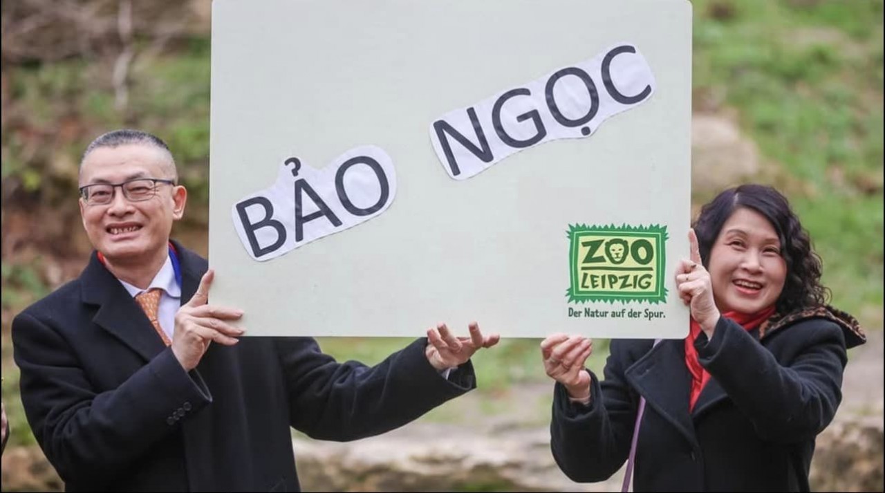 Voi con Bảo Ngọc - biểu tượng của tình hữu nghị Việt - Đức Voi con Bảo Ngọc - biểu tượng của tình hữu nghị Việt - Đức