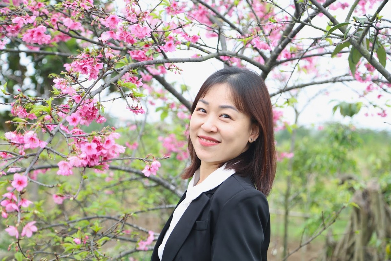 Check- in giữa vườn hoa anh đào đẹp thơ mộng tại Hải Phòng Check- in giữa vườn hoa anh đào đẹp thơ mộng tại Hải Phòng
