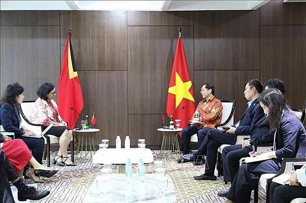 Foreign Minister Bui Thanh Son (R) and Minister of Foreign Affairs and Cooperation of Timor Leste Adaljiza Albertina Xavier Reis Magno at the meeting (Photo: VNA) Foreign Minister Bui Thanh Son (R) and Minister of Foreign Affairs and Cooperation of Timor Leste Adaljiza Albertina Xavier Reis Magno at the meeting (Photo: VNA)