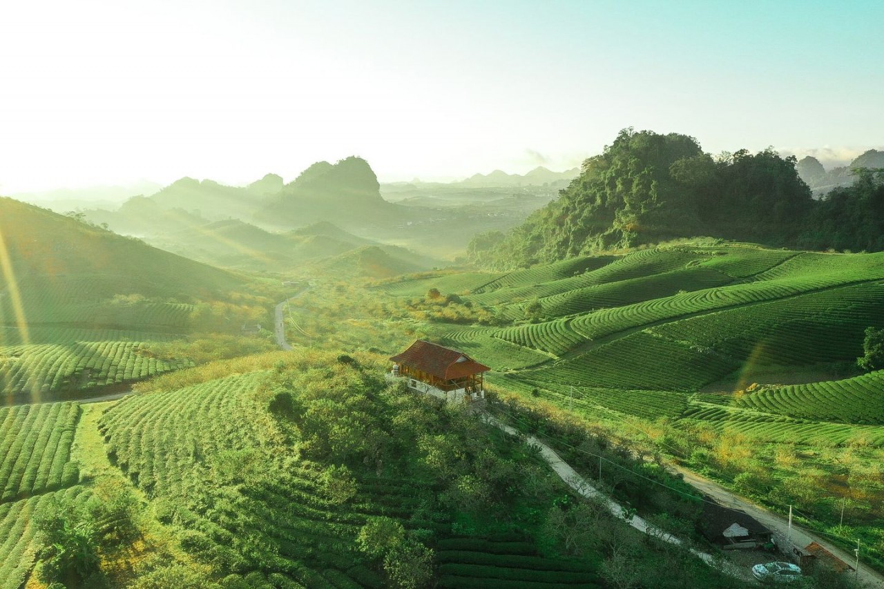 Mận Home. Photo: Mận Home/Facebook Mận Home. Photo: Mận Home/Facebook