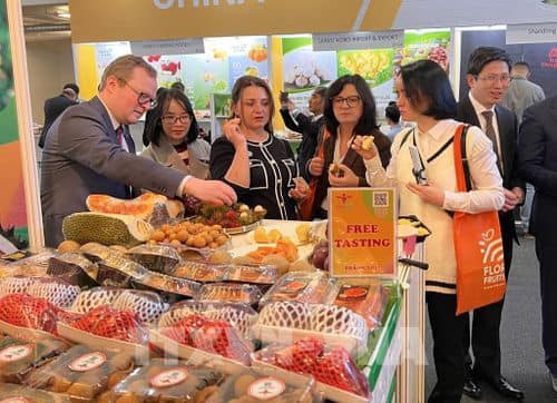 Vietnamese Fruits Attract Attention at Exhibition in Berlin Vietnamese Fruits Attract Attention at Exhibition in Berlin