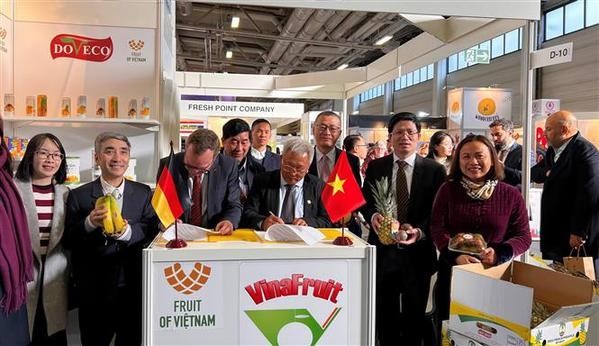 Vietnamese Fruits Attract Attention at Exhibition in Berlin Vietnamese Fruits Attract Attention at Exhibition in Berlin