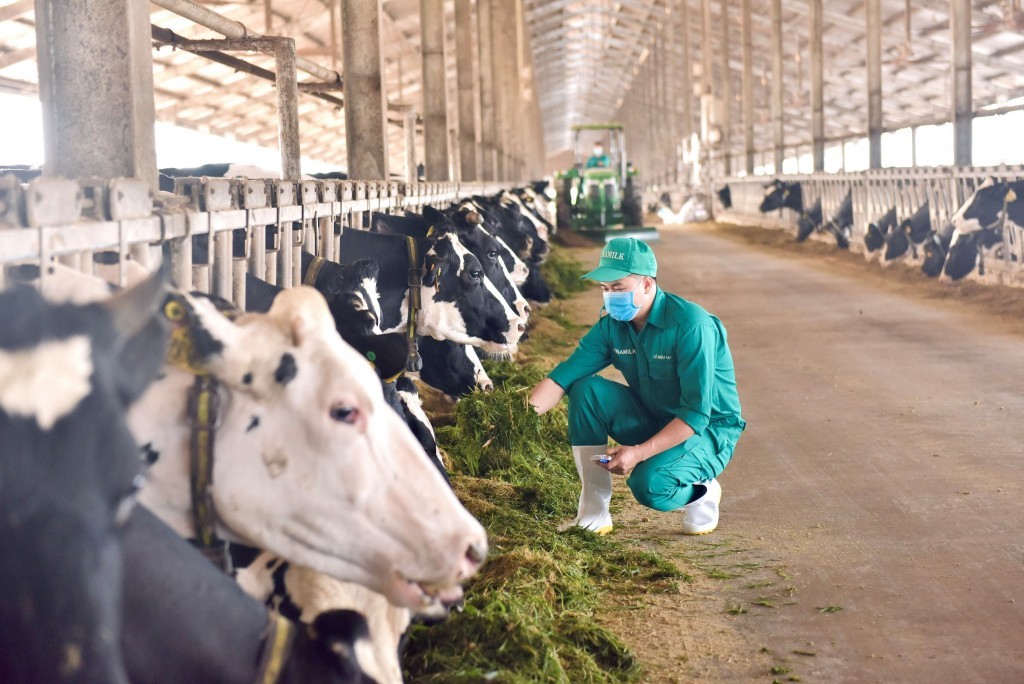 Sữa tươi đầu tiên trên thế giới đạt chứng nhận của Tổ chức Clean Label Project thuộc "Nhà Vinamilk" Sữa tươi đầu tiên trên thế giới đạt chứng nhận của Tổ chức Clean Label Project thuộc "Nhà Vinamilk"