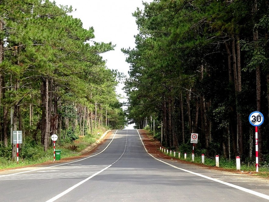 Mang Den Travel Experience Guide to Explore Mang Den From a Female Tourist
