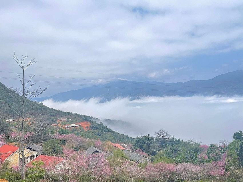 Hunting Clouds in Ta Xua on the 'Dinosaur Spine' Hunting Clouds in Ta Xua on the 'Dinosaur Spine'