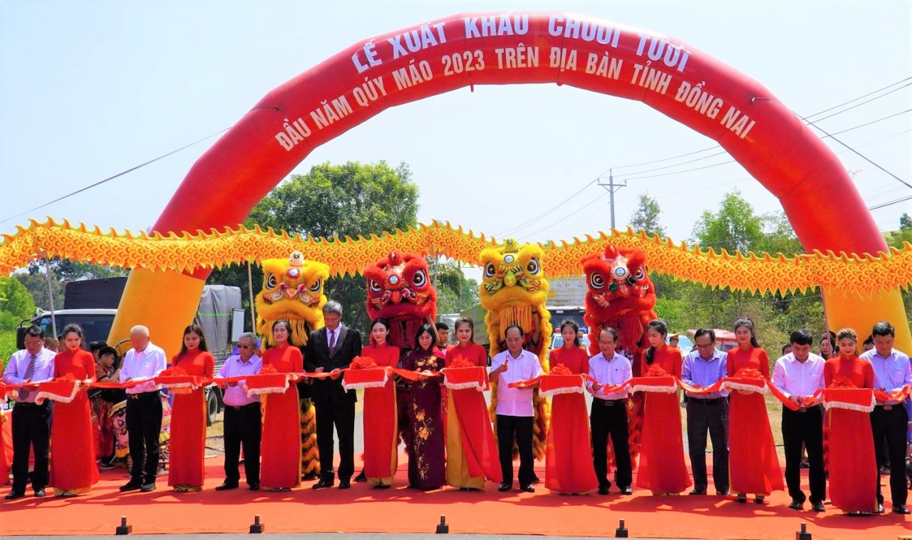Đồng Nai xuất khẩu lô chuối tươi đầu năm qua thị trường Trung Quốc Đồng Nai xuất khẩu lô chuối tươi đầu năm qua thị trường Trung Quốc
