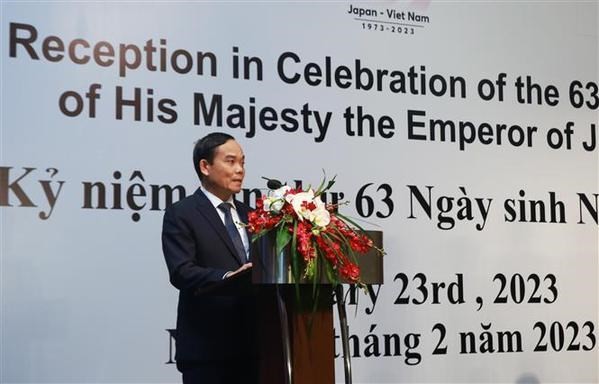 Deputy Prime Minister Tran Luu Quang speaks at the ceremony. Photo: VNA Deputy Prime Minister Tran Luu Quang speaks at the ceremony. Photo: VNA