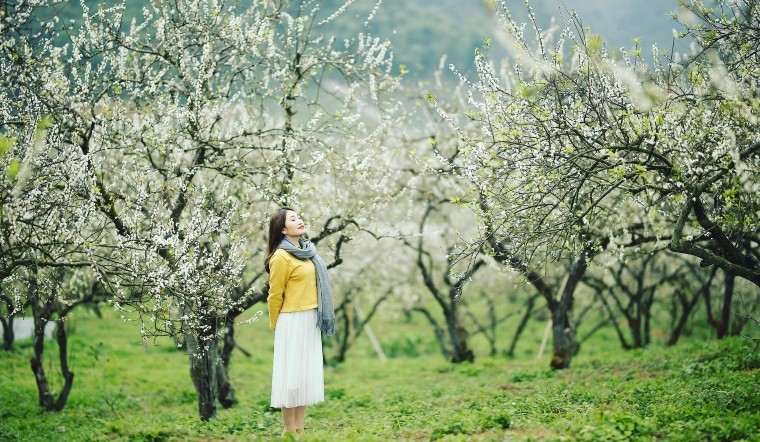 Photo: Bach hoa XANH Photo: Bach hoa XANH
